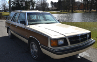 Sale Image for Large Public Auction