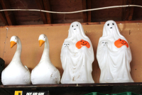 Sale Image for Estate Auction