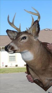 Sale Image for Large Public Auction