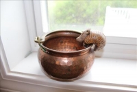 Sale Image for Moving Auction