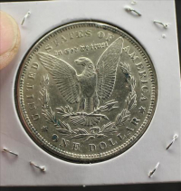 Sale Image for Large Public Auction