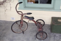 Sale Image for Large Public Auction