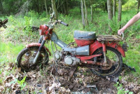 Sale Image for Real Estate And Contents