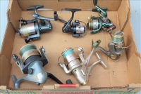 Sale Image for Large Public Auction