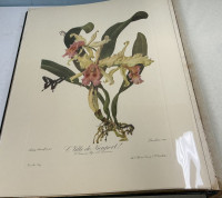 Sale Image for February Online Auction 2026