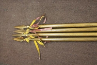 Sale Image for Large Public Auction