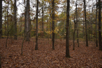 Sale Image for Wilkin Estate Personal Prop. -Absentee Bidding