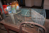 Sale Image for Real Estate & Contents