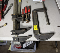 Sale Image for Native Tree Service, Inc. &amp; Native Landscape Service, Inc.