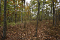 Sale Image for Wilkin Estate Personal Prop. -Absentee Bidding