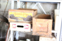 Sale Image for Extra Large Estate Auction