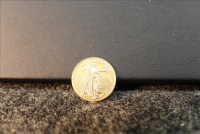 Sale Image for Large Public Auction