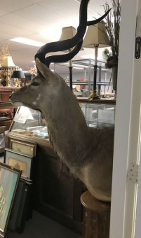 Sale Image for August Online Auction 2020