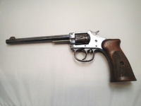 Sale Image for Special No Tax Gun Auction