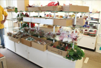 Sale Image for Jameson's Candy Store Liquidation Auction