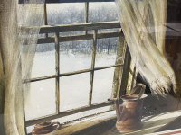 Sale Image for Second November Online 2021