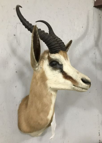 Sale Image for August Online Auction 2020