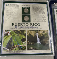 Sale Image for Second November Online 2021