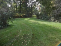 Sale Image for Absolute Real Estate & Contents