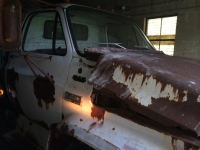 Sale Image for VW Beetle, Trucks, Harley And Personal Property