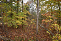 Sale Image for Wilkin Estate Personal Prop. -Absentee Bidding