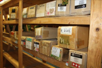 Sale Image for Jameson's Candy Store Liquidation Auction