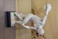 Sale Image for Large Public Auction