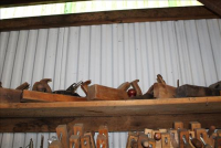 Sale Image for Estate Auction Real Estate & Contents