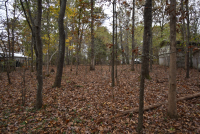 Sale Image for Wilkin Estate Personal Prop. -Absentee Bidding