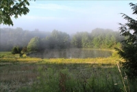 Sale Image for Real Estate Auction