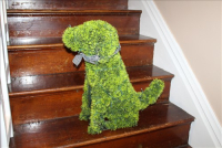 Sale Image for Estate Auction - Real Estate &amp; Contents