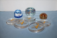 Sale Image for Estate Auction