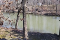 Sale Image for Real Estate & Contents