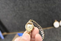 Sale Image for Large Public Auction