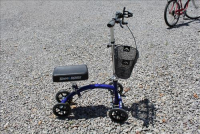 Sale Image for Large Public Auction