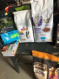 Sale Image for Lakeview Area Public Library Benefit Auction