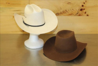 Sale Image for Large Public Auction