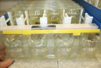 Sale Image for Jameson's Candy Store Liquidation Auction