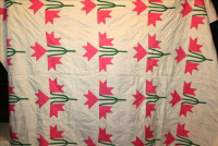 Sale Image for Extra Large Estate Auction