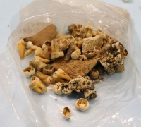 Sale Image for Annual January New Year Antique Auction