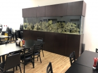 Sale Image for A New Start Inc Bankruptcy Auction