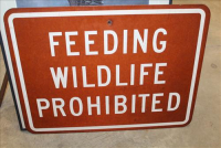 Sale Image for Large Public Auction