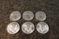 Sale Image for Large Public Auction