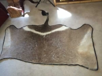 Sale Image for Big Estate Sale Sterling Silver, Jewelry, Furniture & More