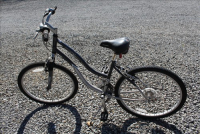 Sale Image for Large Public Auction