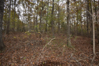 Sale Image for Wilkin Estate Personal Prop. -Absentee Bidding