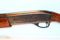 Sale Image for Special No Tax Gun Auction