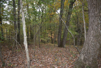 Sale Image for Wilkin Estate Personal Prop. -Absentee Bidding