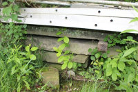 Sale Image for Moving &amp; Retirement Auction