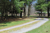 Sale Image for Real Estate & Contents